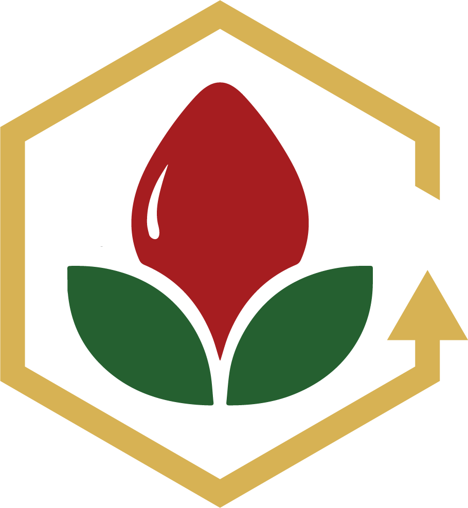 icon castellano